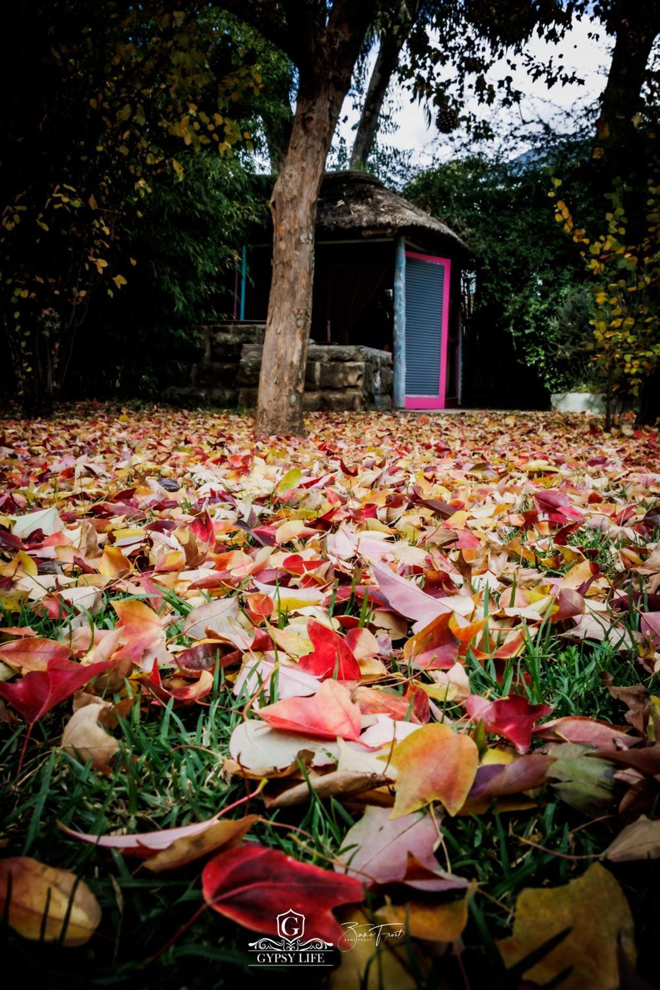 Gypsy Guest House Clarens Ngoại thất bức ảnh